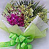 Orchidee