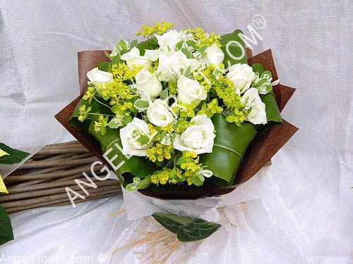 White Elegance