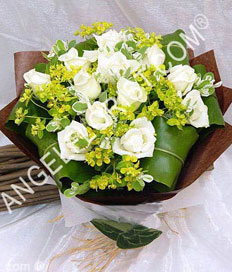 White Elegance