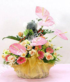 Elegent