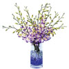 Violaceous