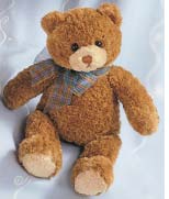 Dylan Bear