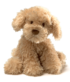 Puppy