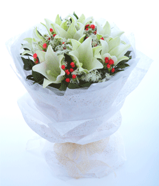 Fairytale Blooms