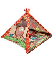 Baby Learning Tent