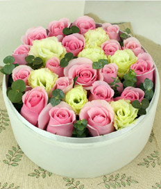Royal Pink