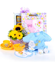 Gentle Sunshine
