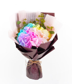 Rainbow Wishes