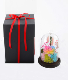 Preserved Flower-The One (Rainbow)