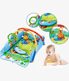 Play Gym-Blue Color