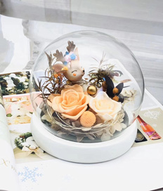 Preserved Flower-Love You Dearly-Champagne
