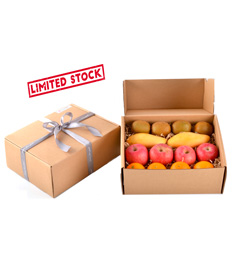 Delight Fruits-1