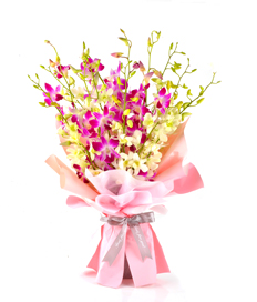 Miss Orchids-Petite Size