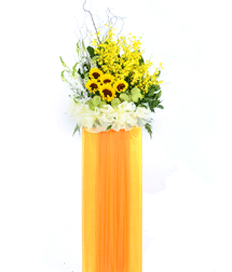 Opening Flower: Bountiful Joy