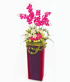 Congratulation Flower: Blooming Success