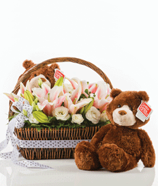 Teddi-lily
