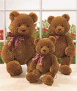 GUND Downing Bear Small 16 Inch