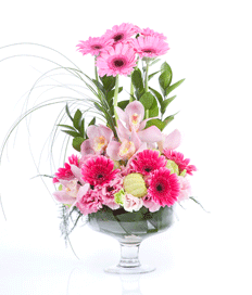 Birthday Bouquet: Pink Joy