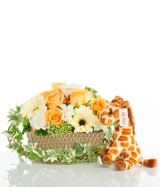 Giraffee Love