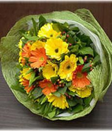 Vibrant Geberas
