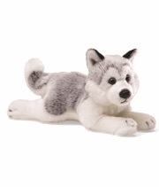 Husky