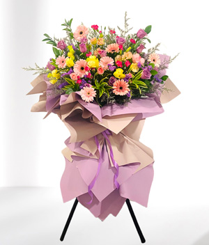 Opening Flowers: Beautiful Blooms