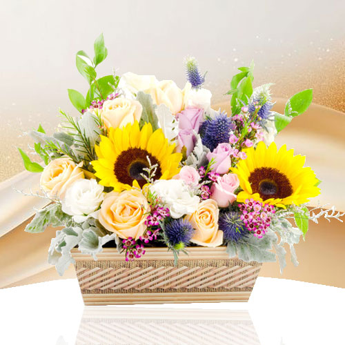 Sunshine Garden
