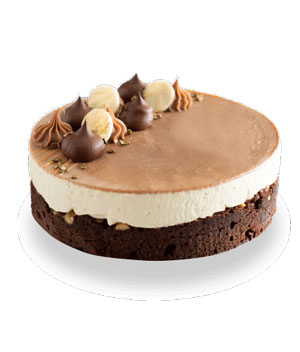 Cocoa Brownie Cheesecake