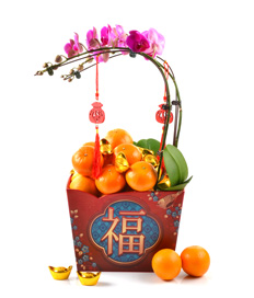 9120-Mini Orchids+12 Mandarin Oranges